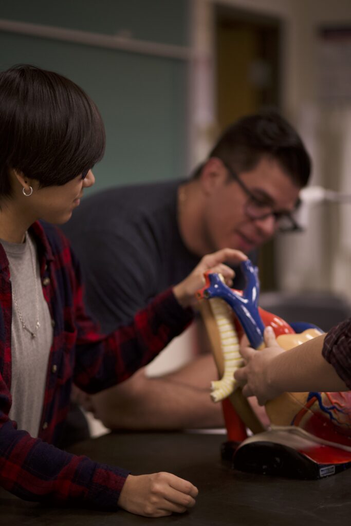 Indigenous students examining a heart model